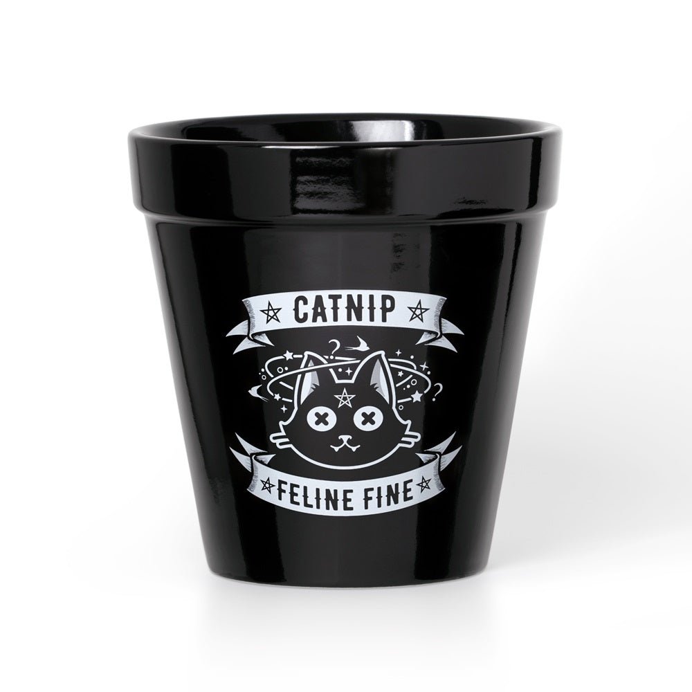 Catnip Plant Pot-0