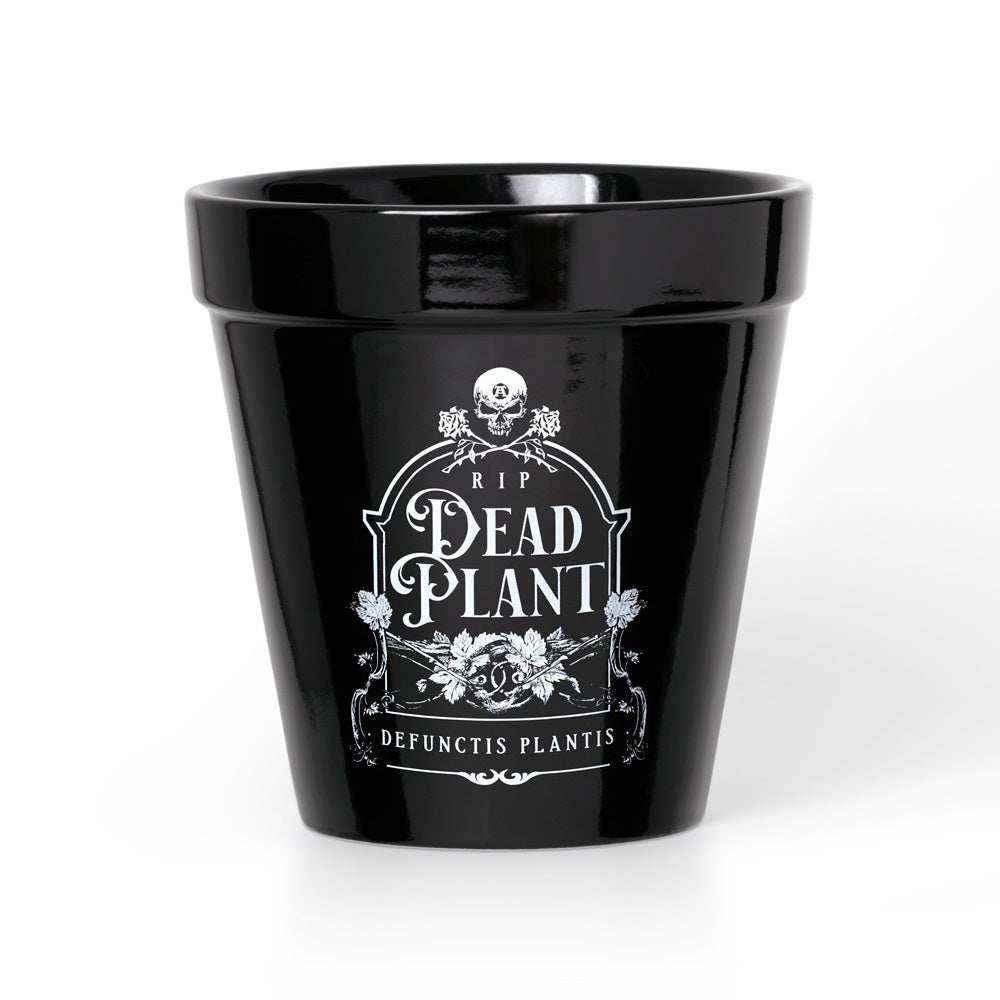 Dead Plant Plant Pot-0