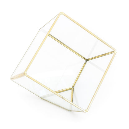 Heptahedron Geometric Glass Terrarium with Tillandsia Red Abdita and Ionantha Air Plants