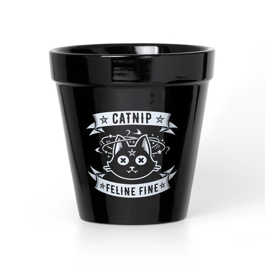Catnip Plant Pot-0
