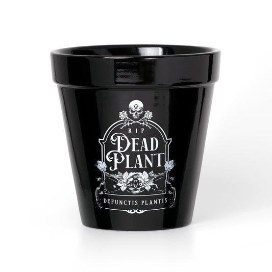 Dead Plant Plant Pot-0